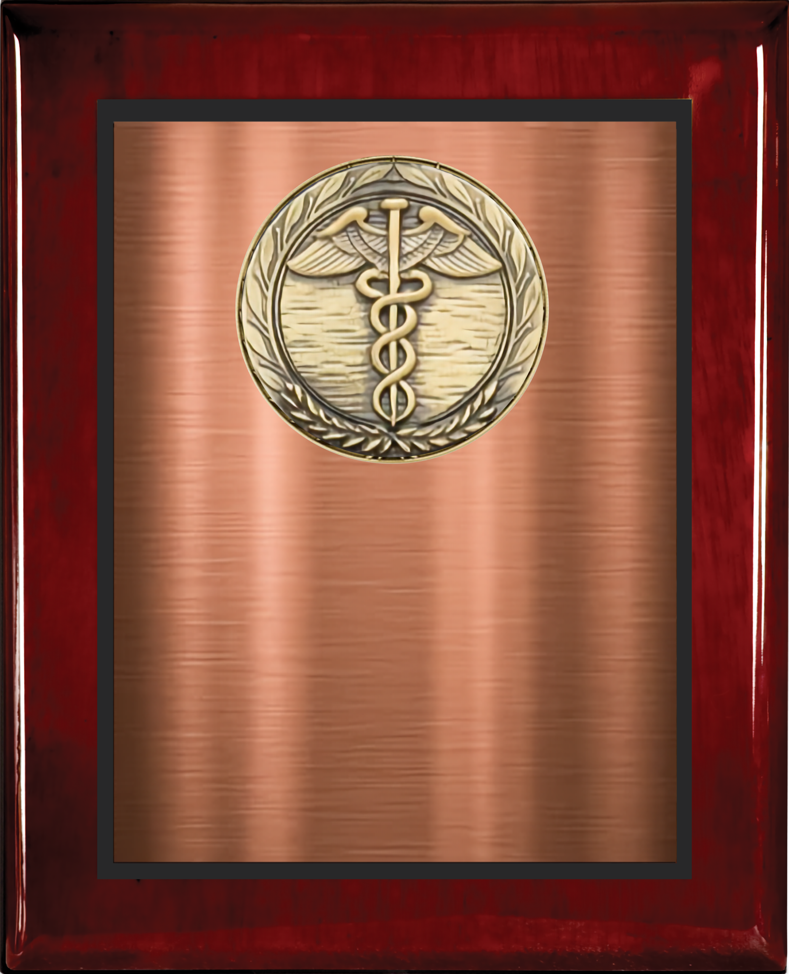 Rosewood Piano Finish Plaque w/Double Plate and Medallion 11