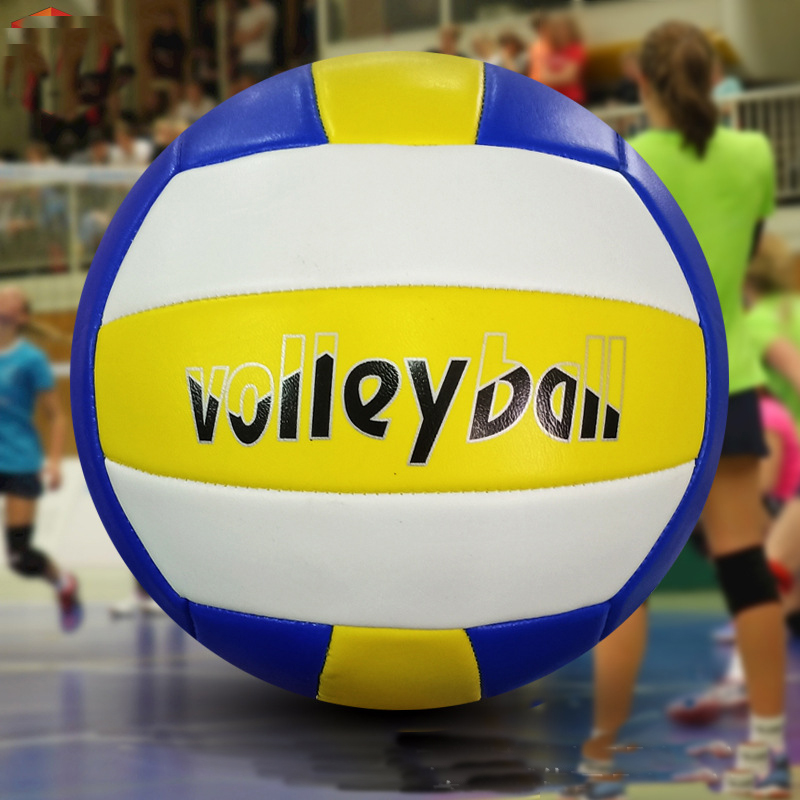 Regulation Sized Volleyball 1