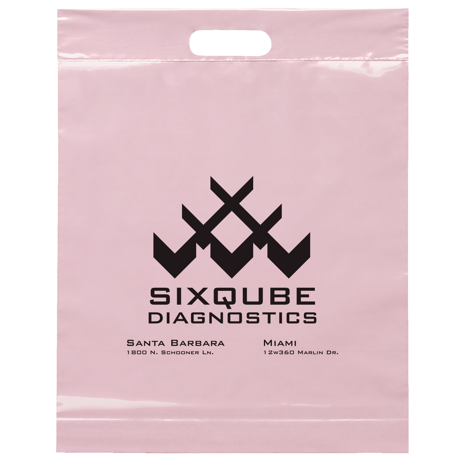 Die Cut Handle Bag - 15W x 19H x 3 - Flexo Ink Print 13