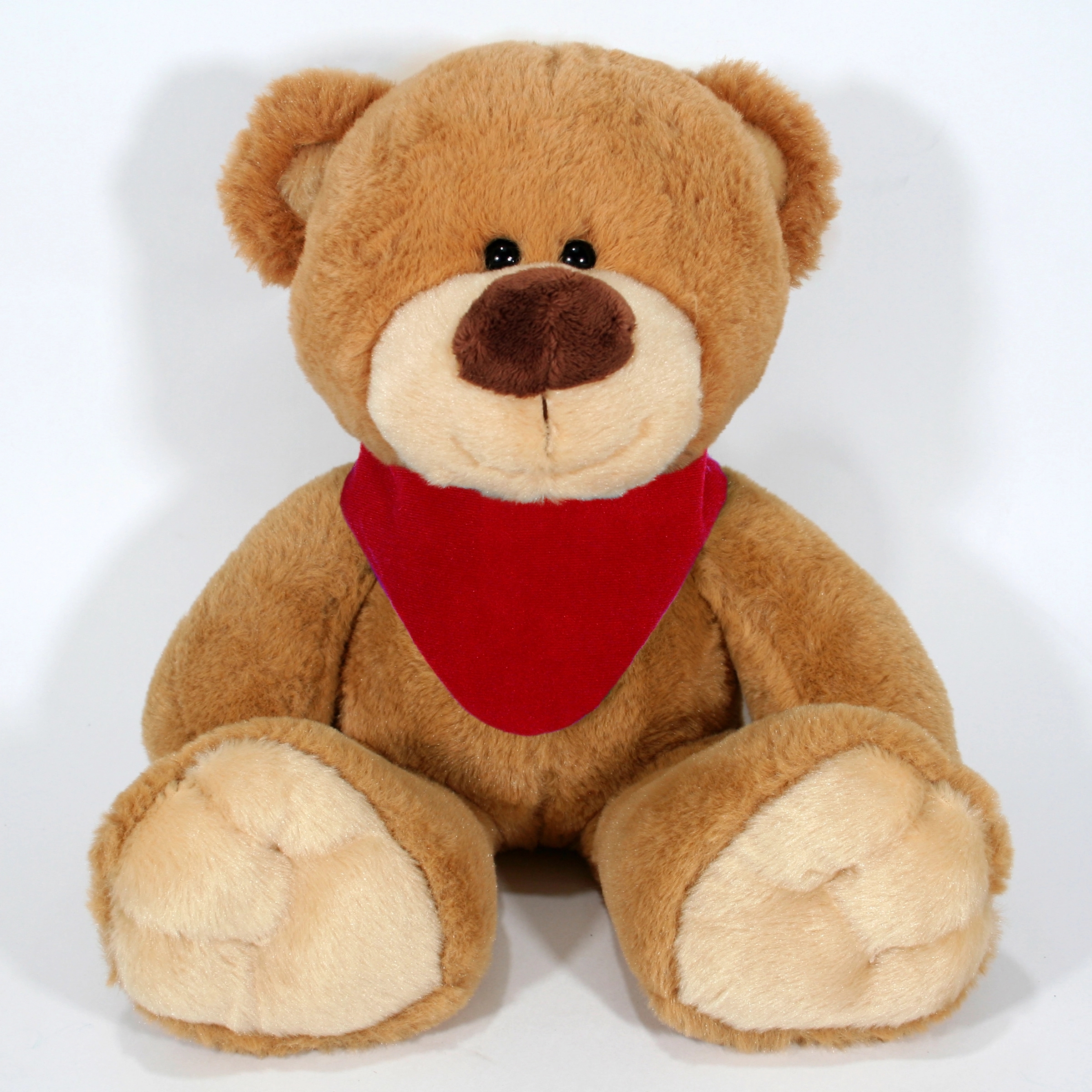 14" Pick-A-Pet Bear 14