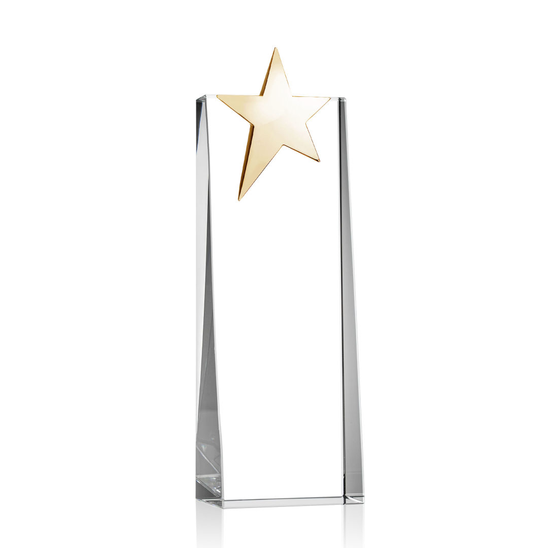 Fanshaw Gold Star Award 4