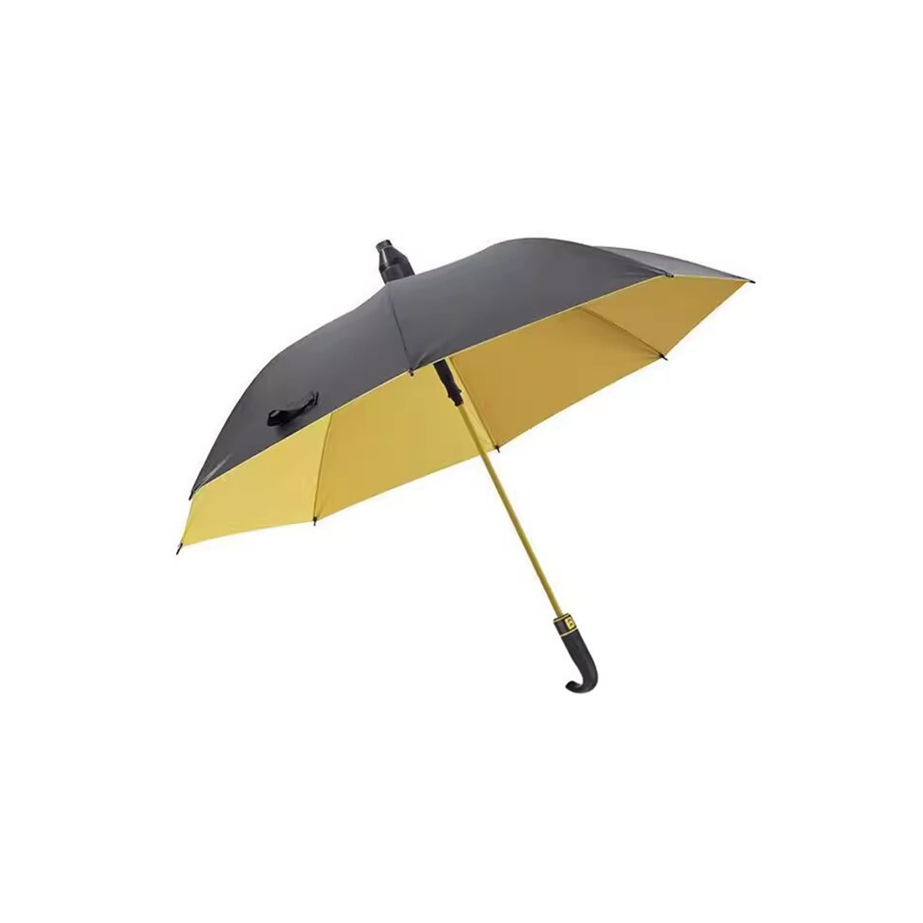 Multifunctional Umbrella 1