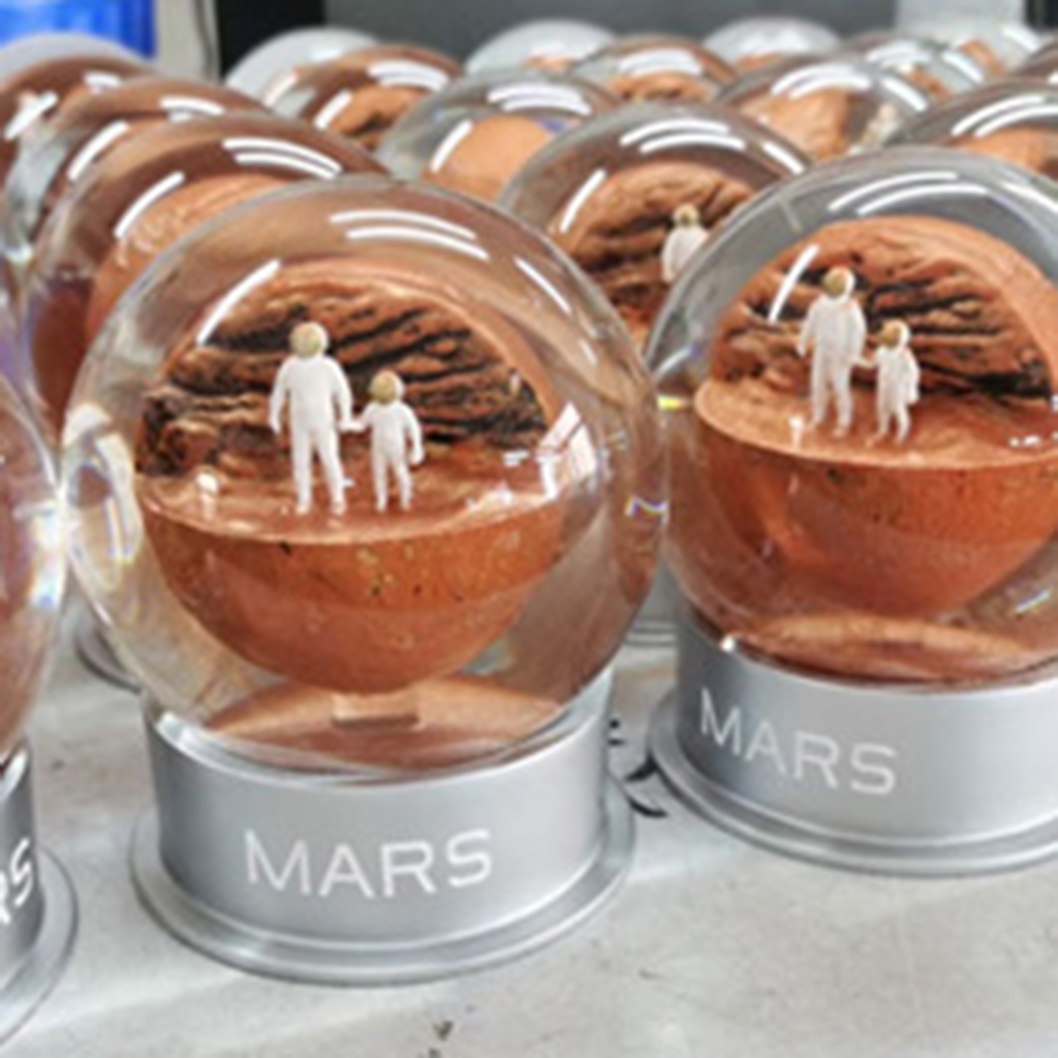Custom Snow Globe 2
