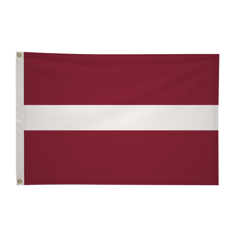 2' x 3'International Flag 140