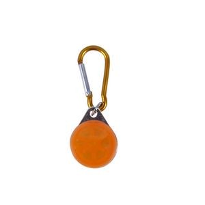LED Safety Light With Carabiner For Pets Push Button Activation 24