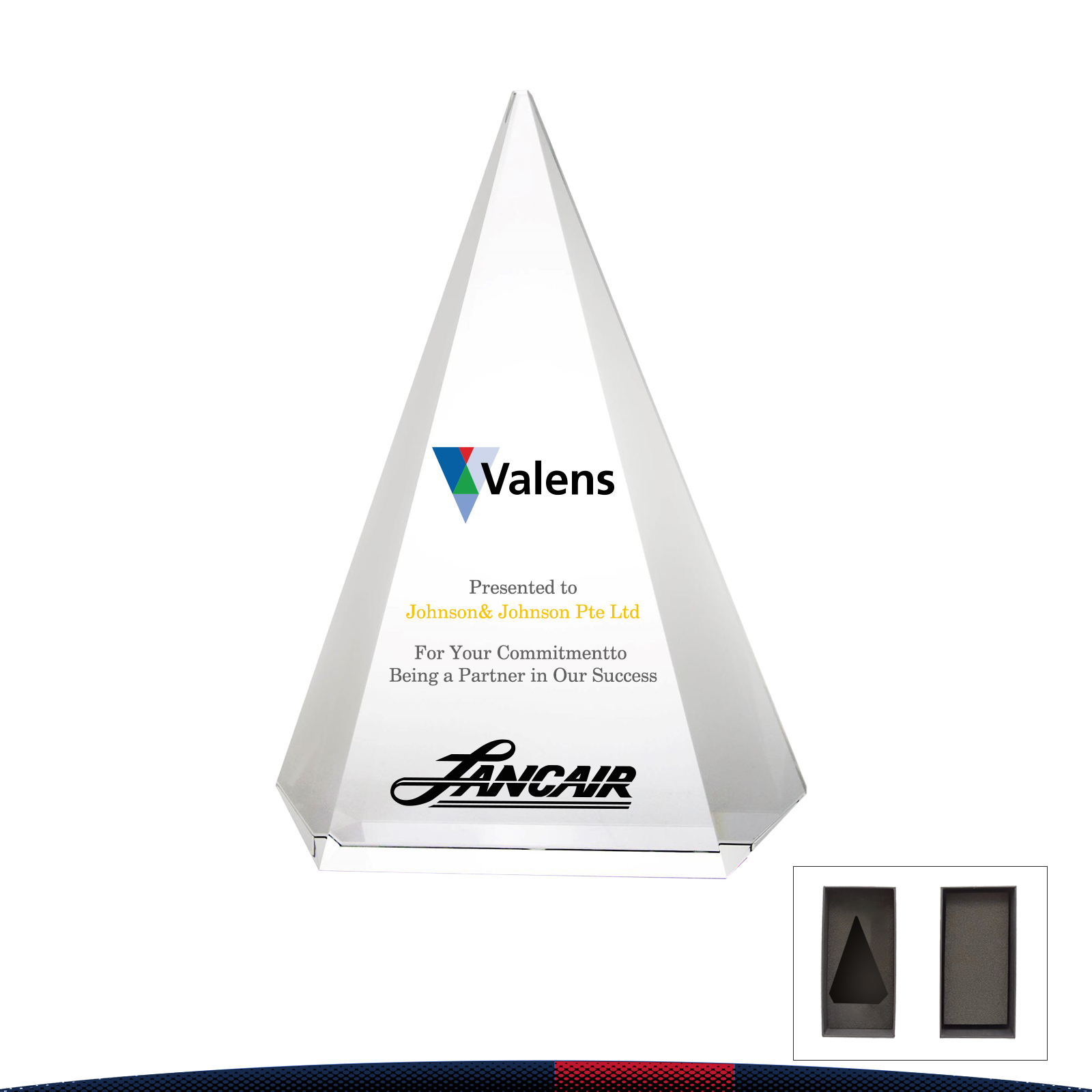 Vicop Crystal Award 3