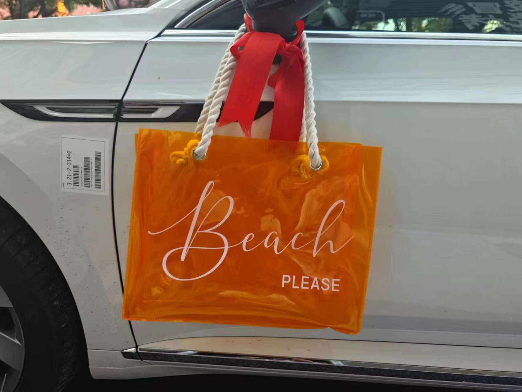Clear PVC Handbag 1