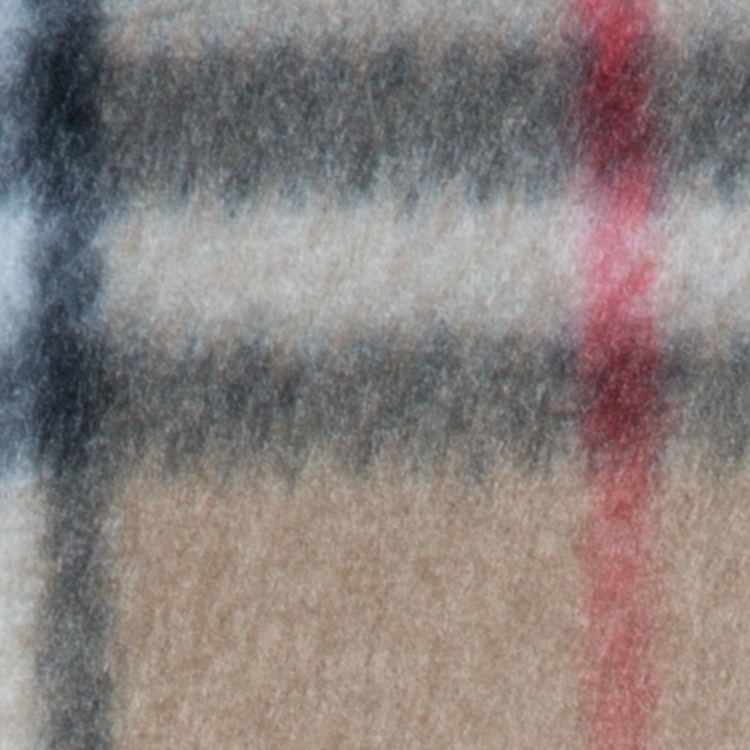 Picnic Blanket 21