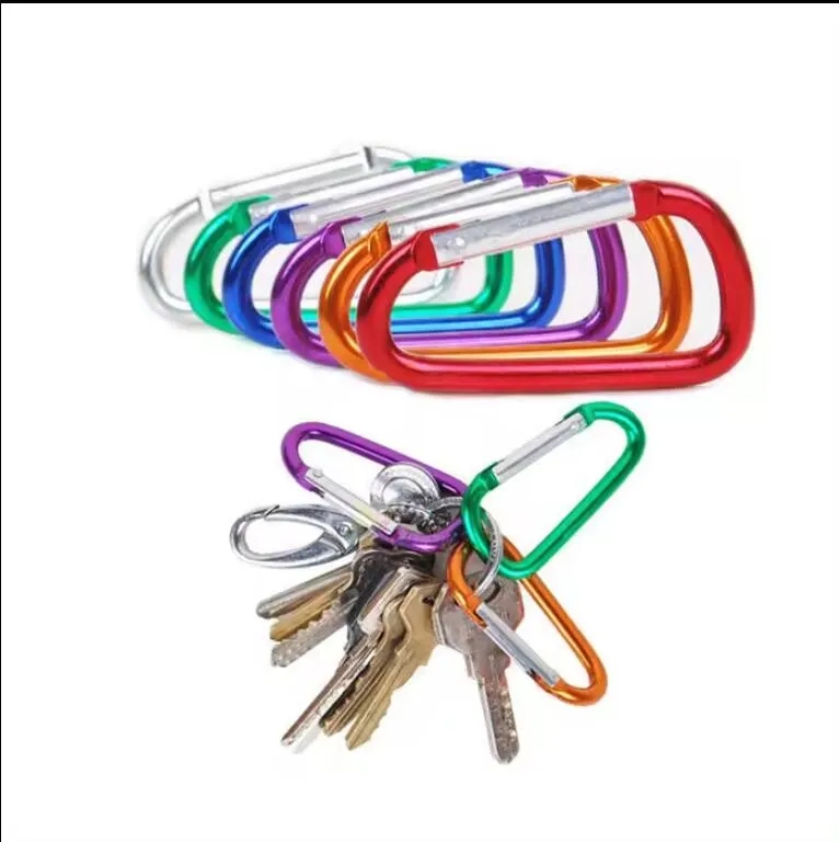 Carabiner keychain 5