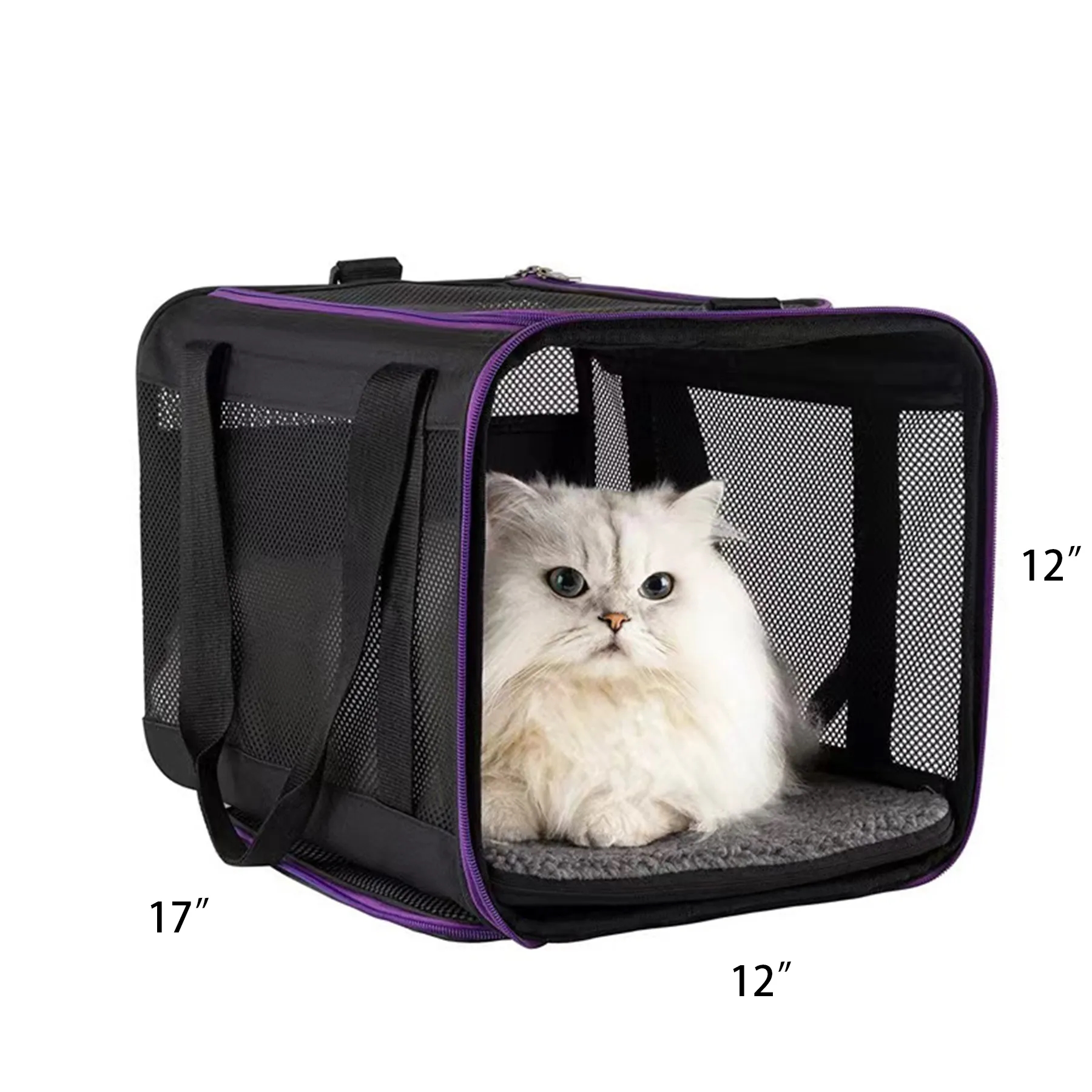 Visible Soft Cat Carrier 3
