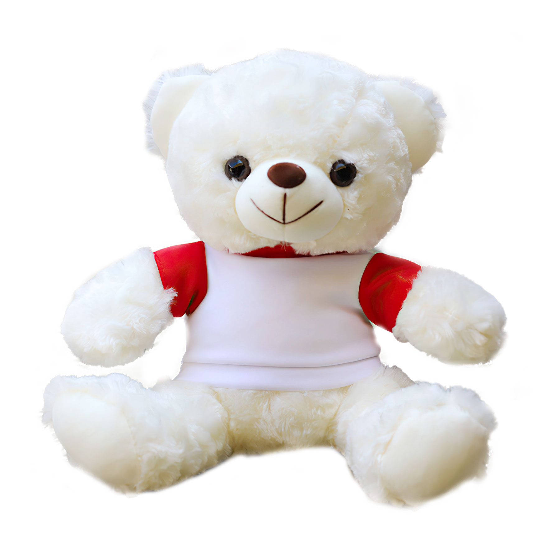 11'' Seated Style Stuffed Plush Teddy Beat With T-shirt 1