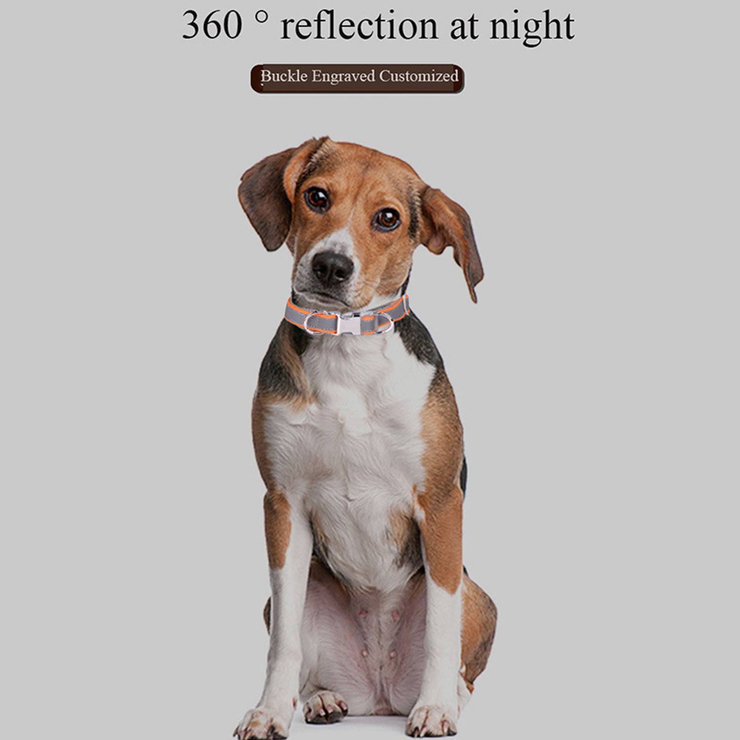 Adjustable Pet Collar 9
