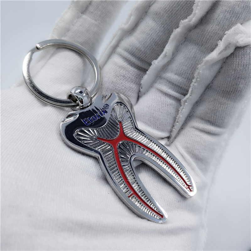 Creative Tooth Shape Metal Key Ring 5