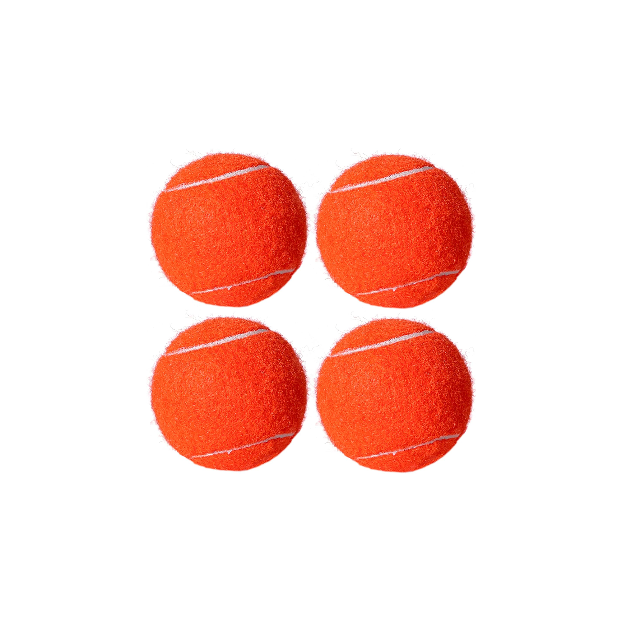 Pet Tennis Ball Training Toy 4