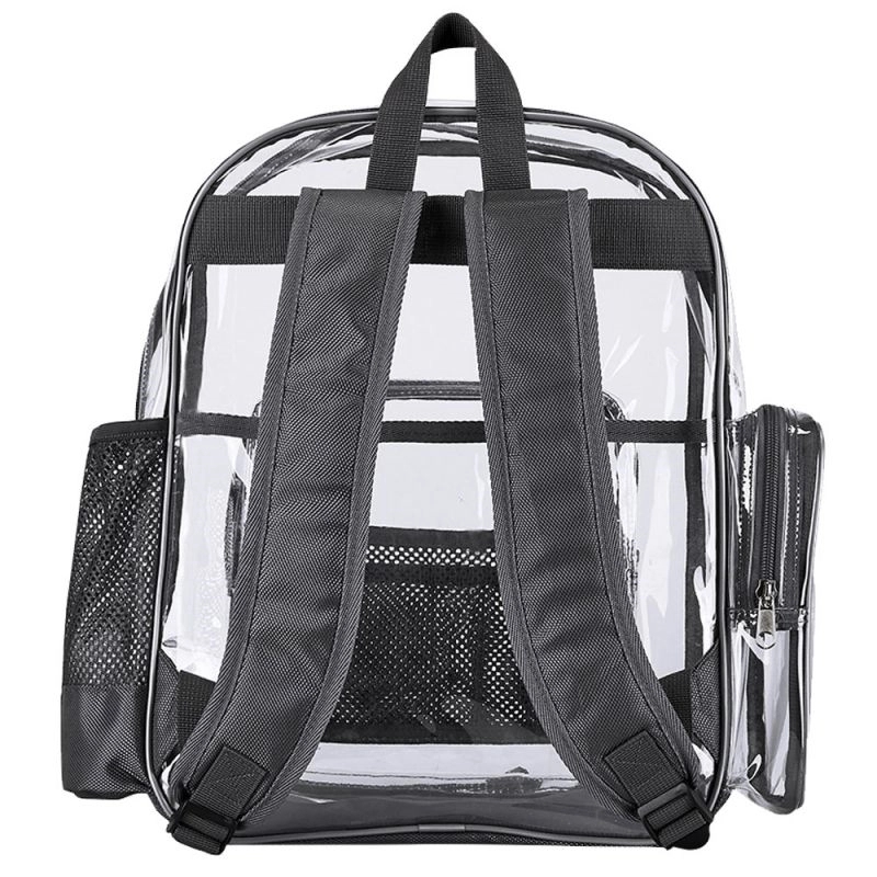 Clear Backpack 2