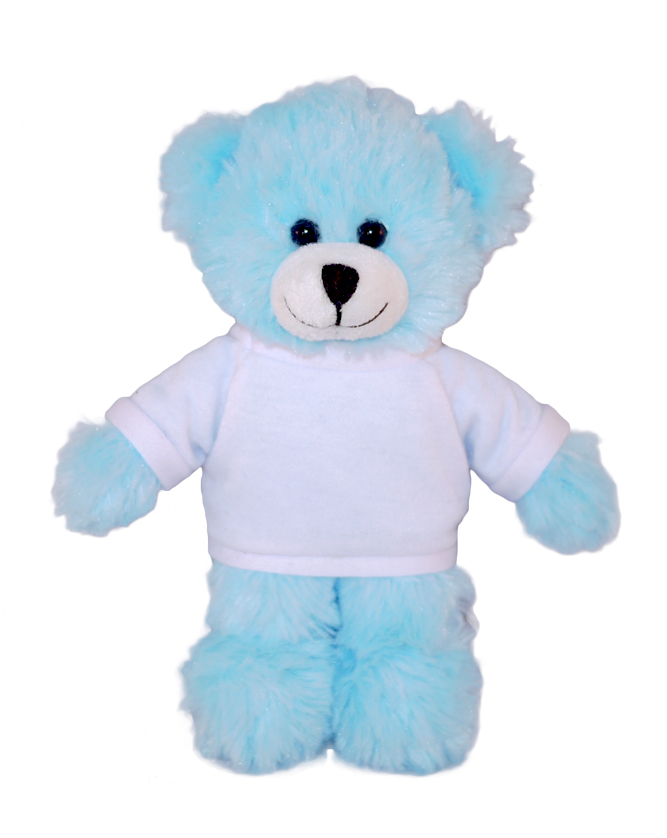 Blue Bear with Tee 12