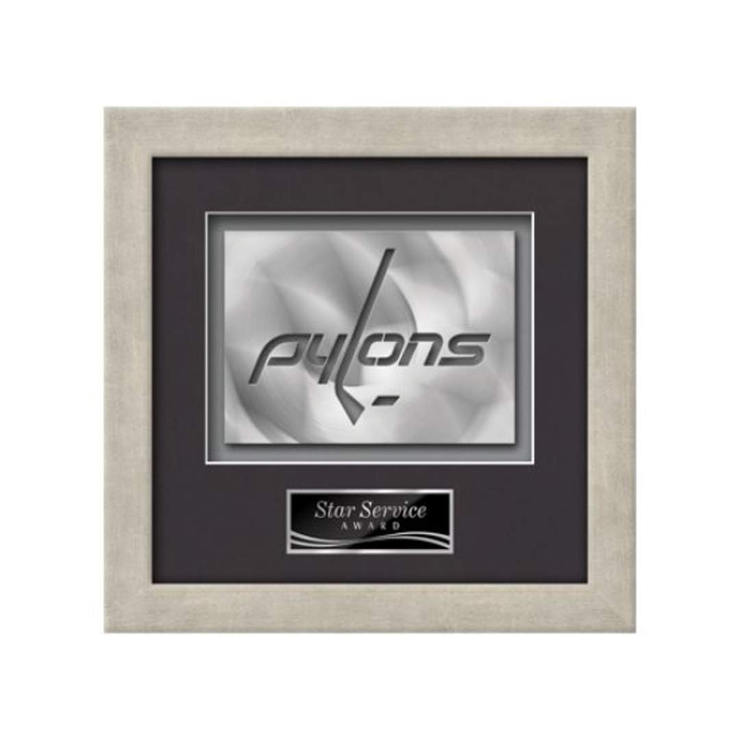 Eldridge Aquashape™ Award - Antique Silver