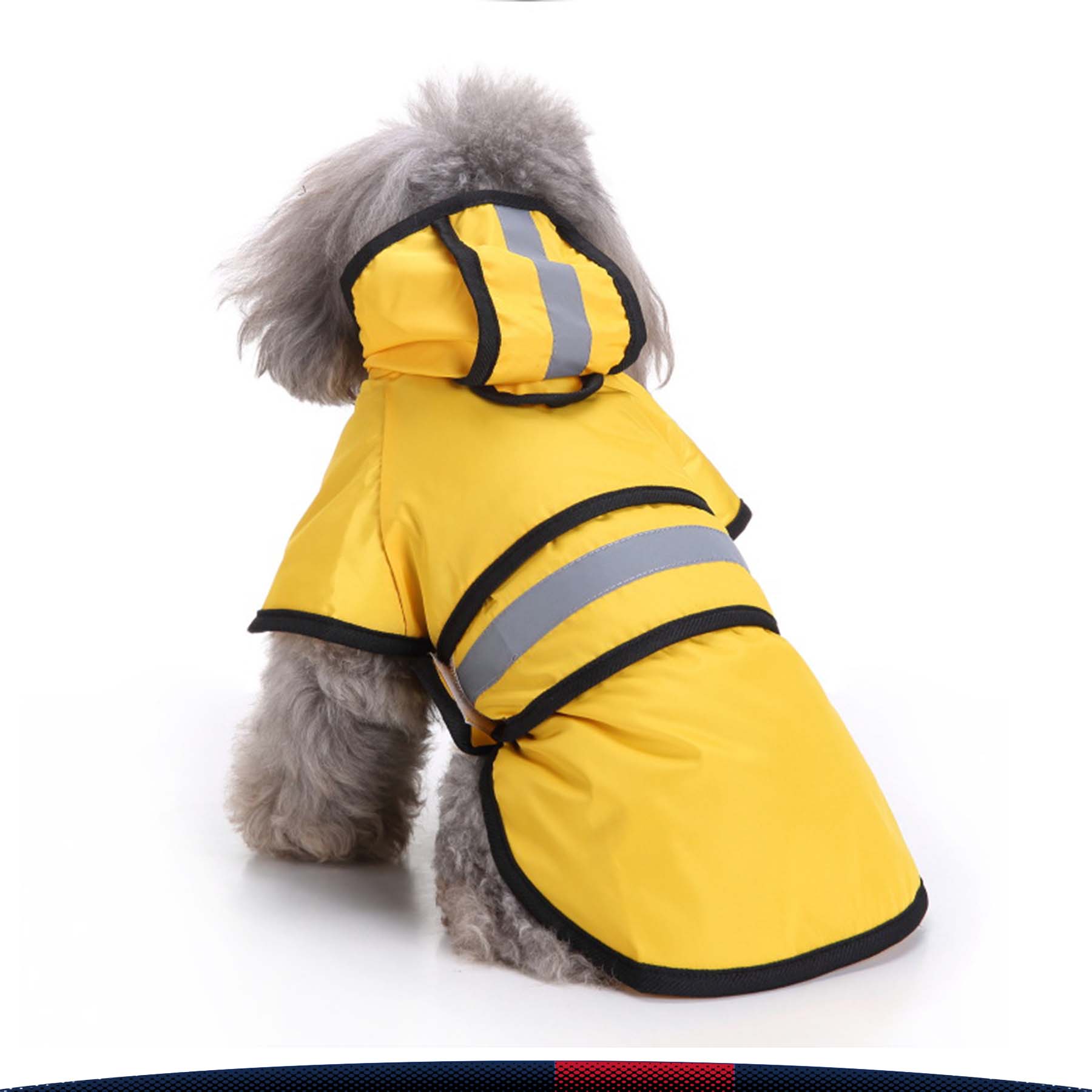 Pet Rain Poncho 4