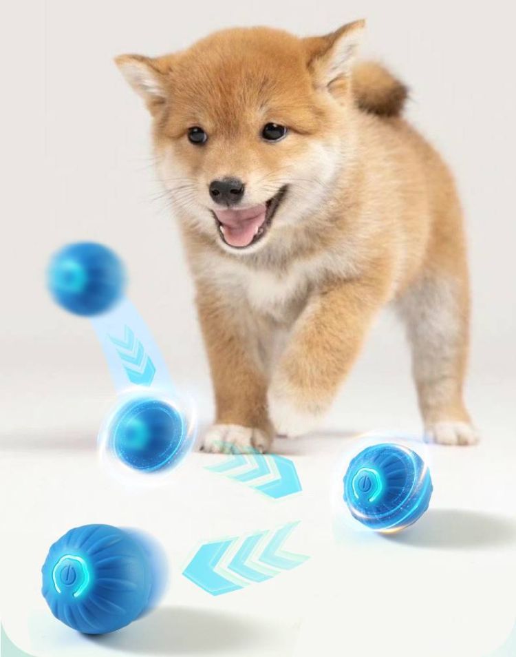 Interactive Dog Toys 2
