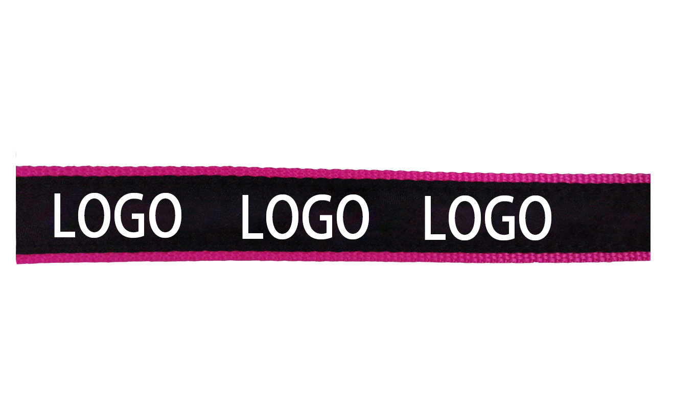 Dog Pet Leash 2