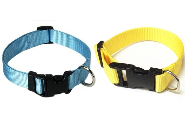 Polyester Dog Collar 1