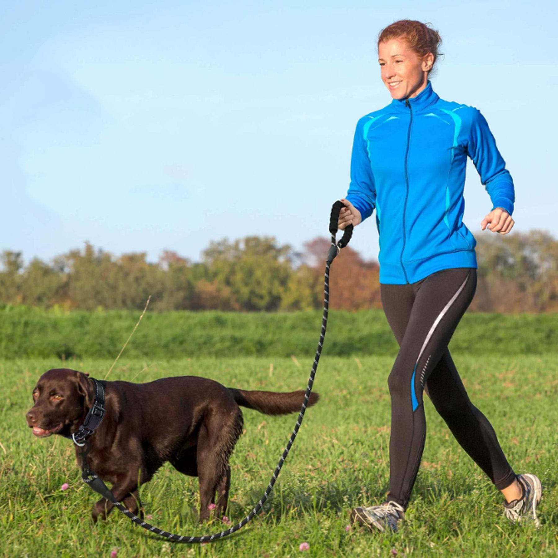 Reflective Dog Collar Padded with Soft Neoprene 2