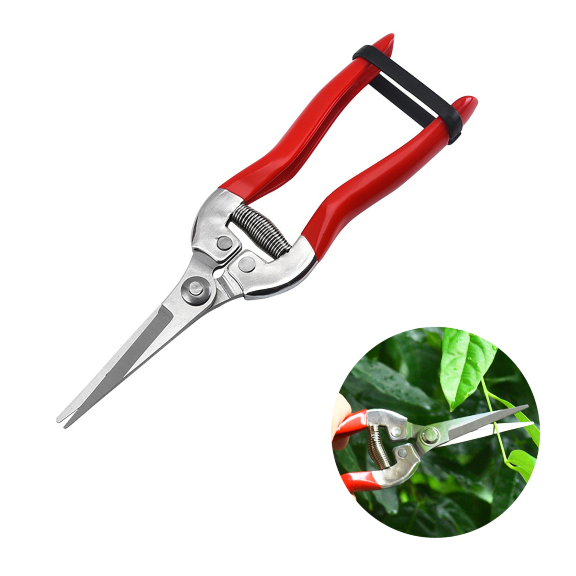 Pruning Shears 3