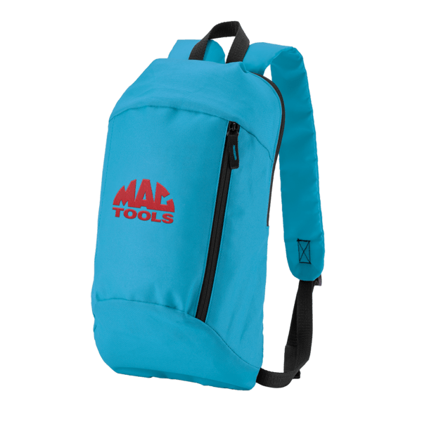 Budget Backpack 17