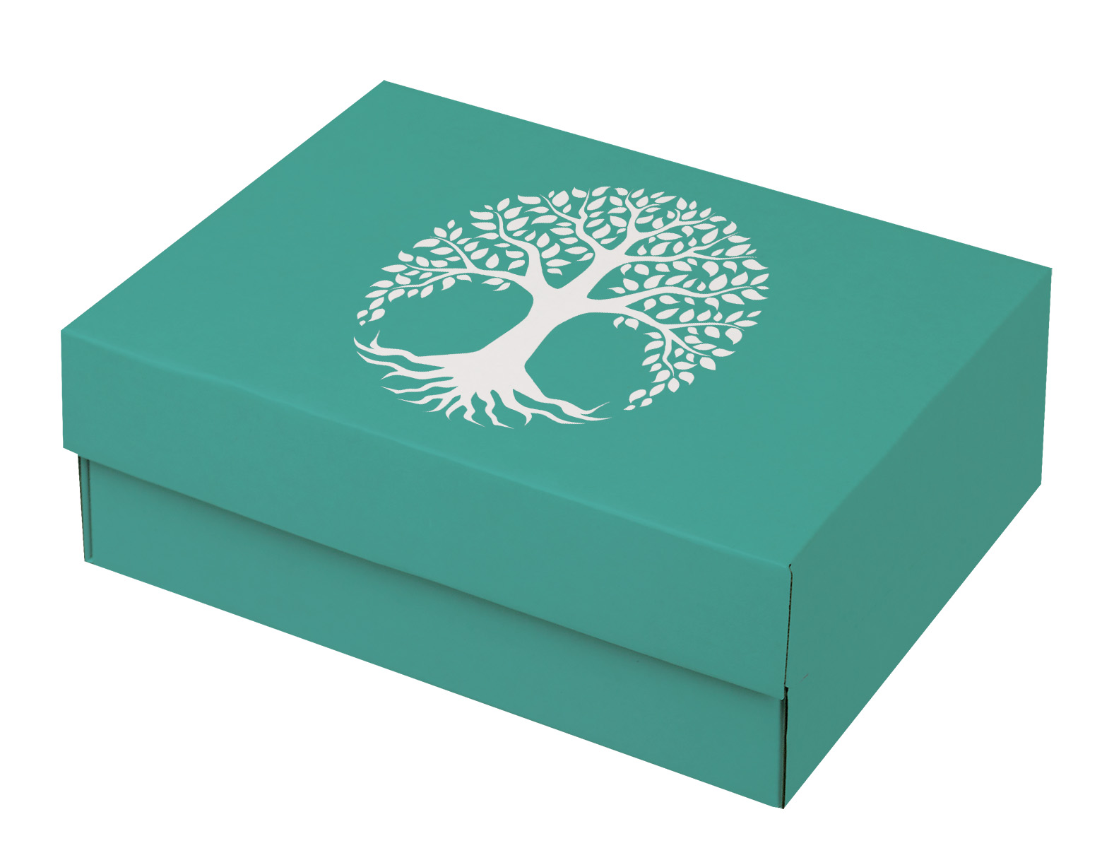 8 1/2" x 6 1/2" x 3 1/8" - Fold Above E-Flute Box 2