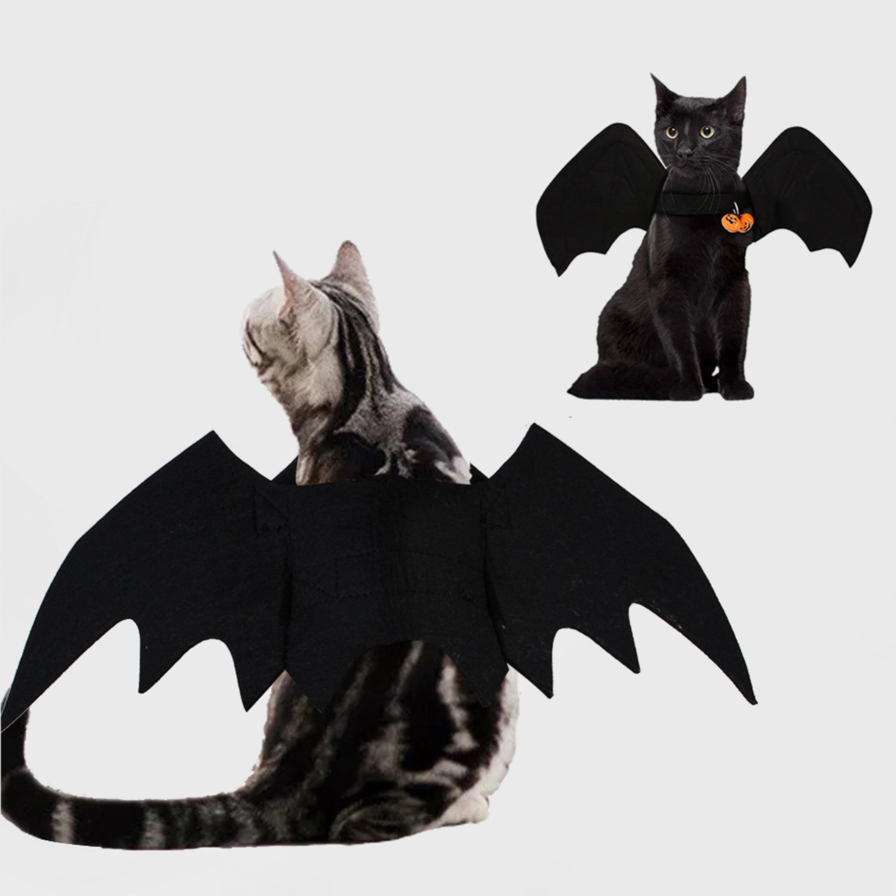 Bat Pet Decoration 4