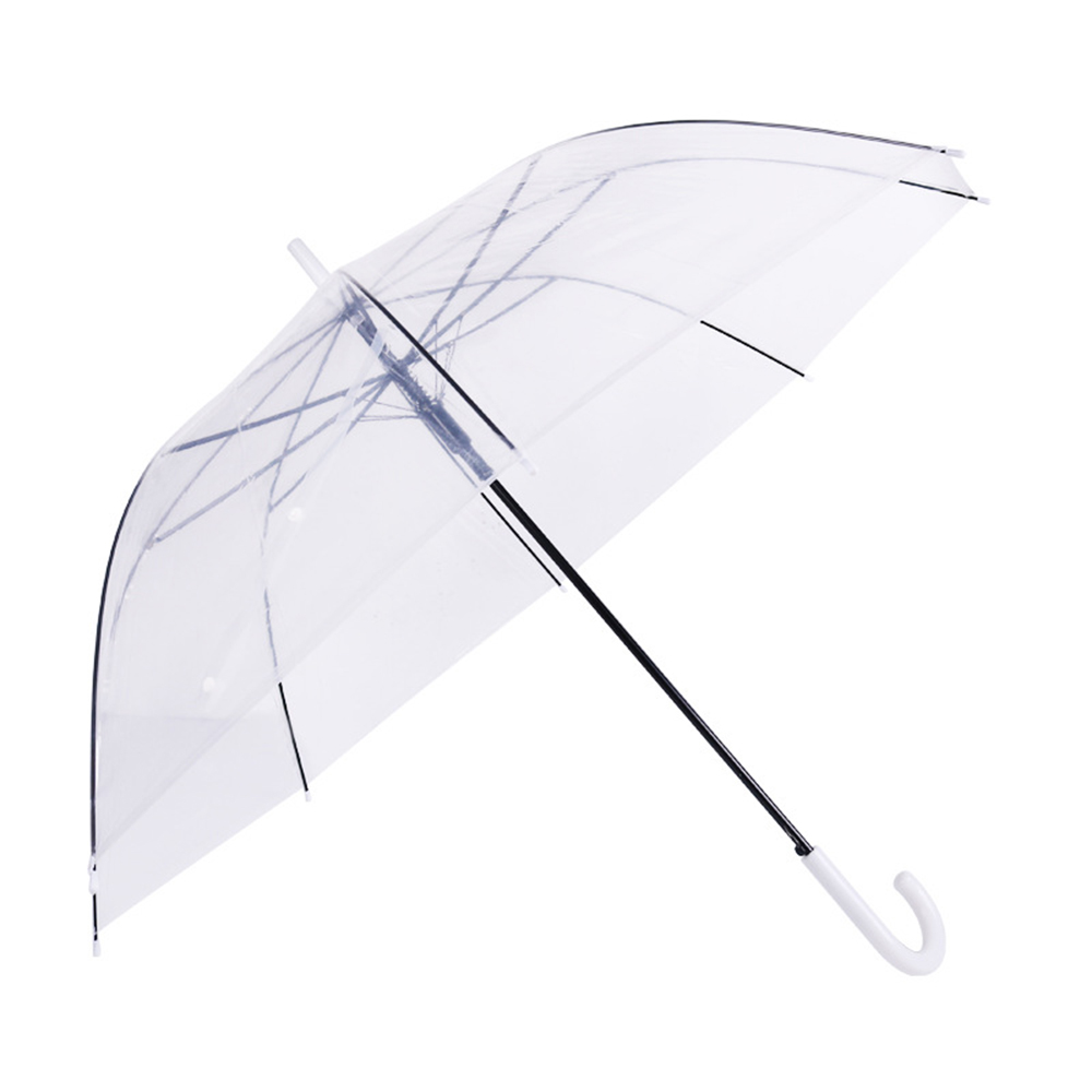 Small Fresh Transparent Umbrella 2