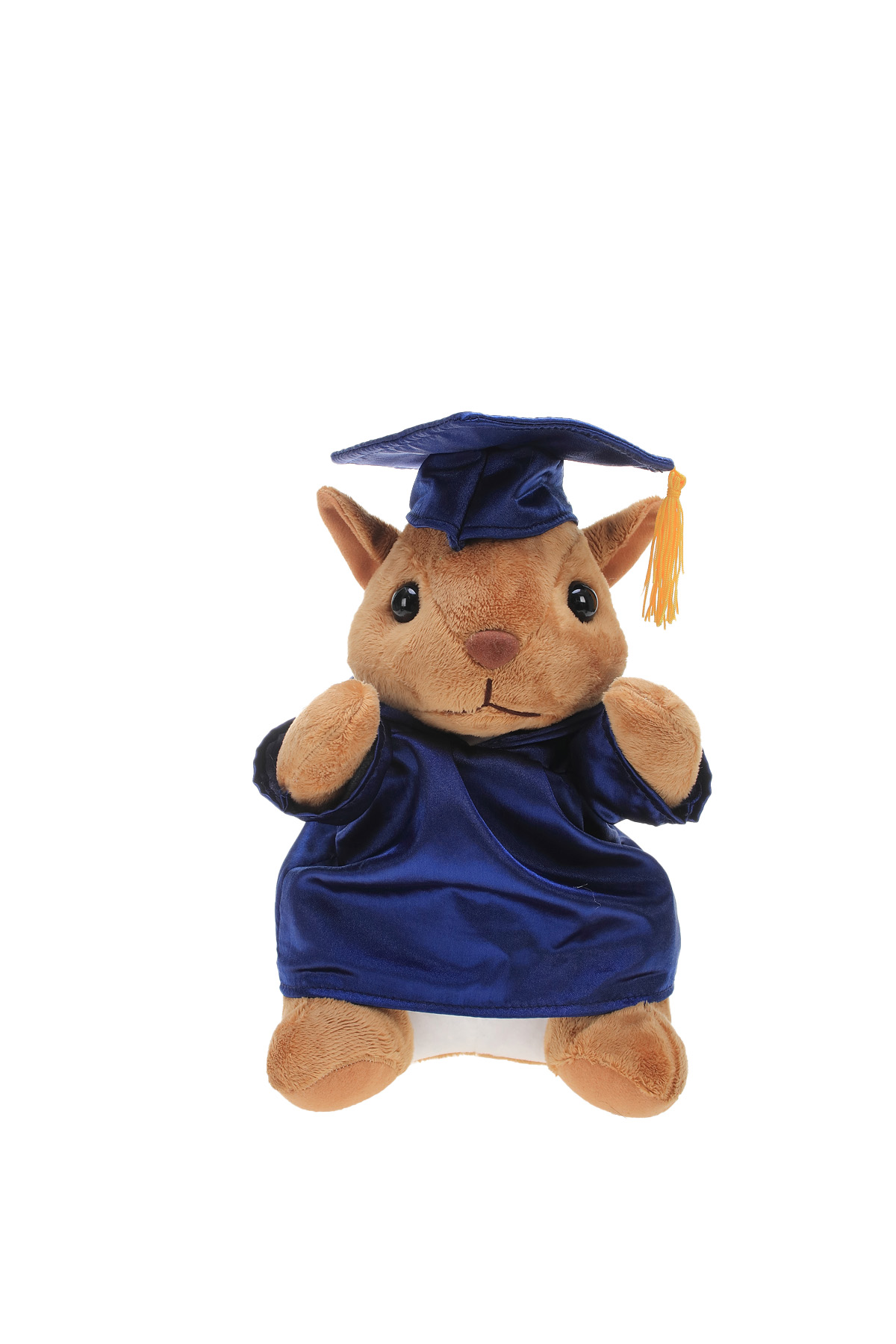Soft Plush Sitting Squirrel with Graduation Cap & Gown 5