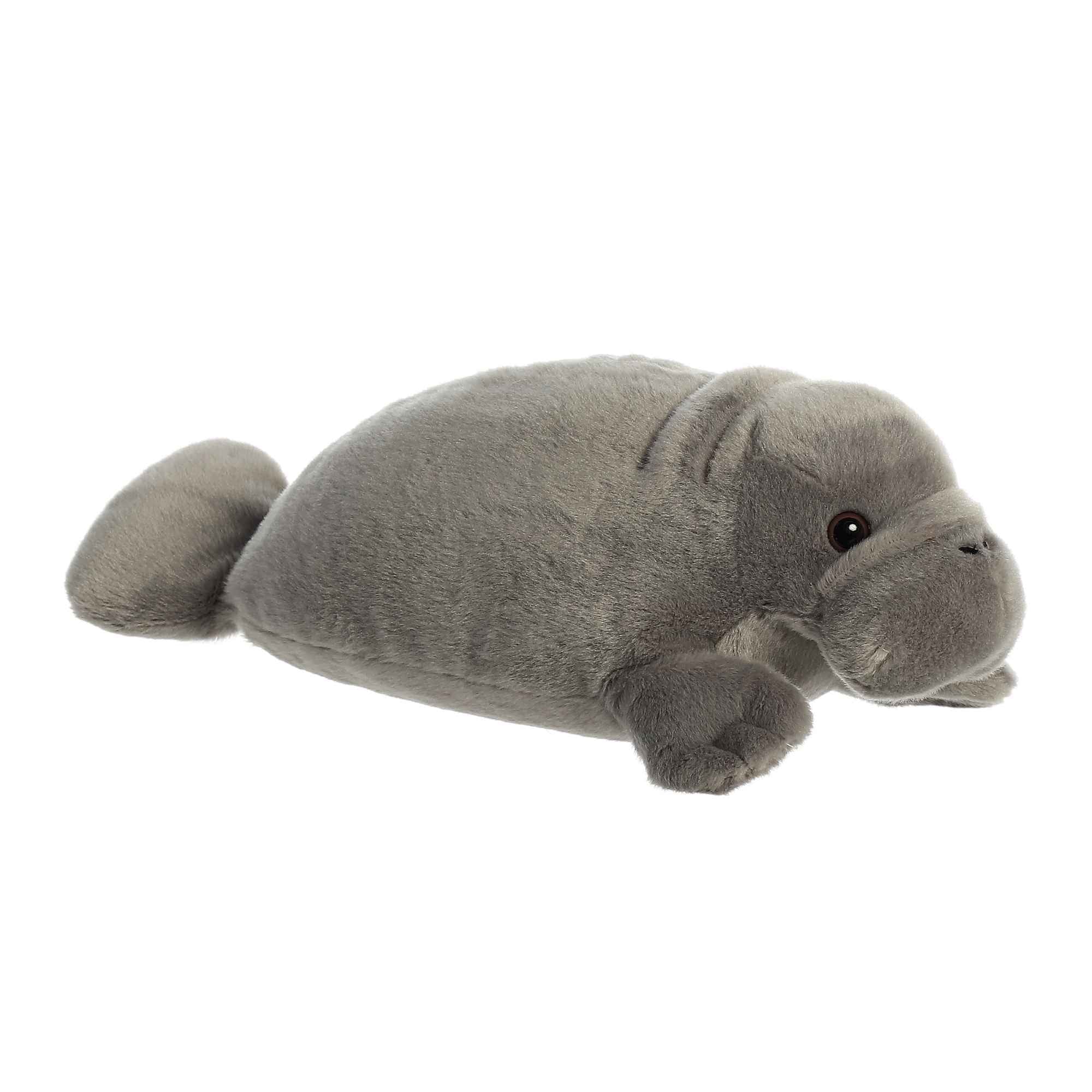 Grand Series 12" Grand Manatee 3