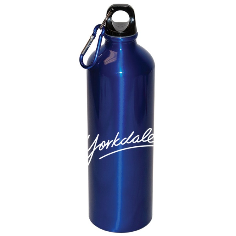 750 Ml (25 Fl. Oz.) Aluminum Water Bottle With Carabiner, custom water bottle with logo imprint 10