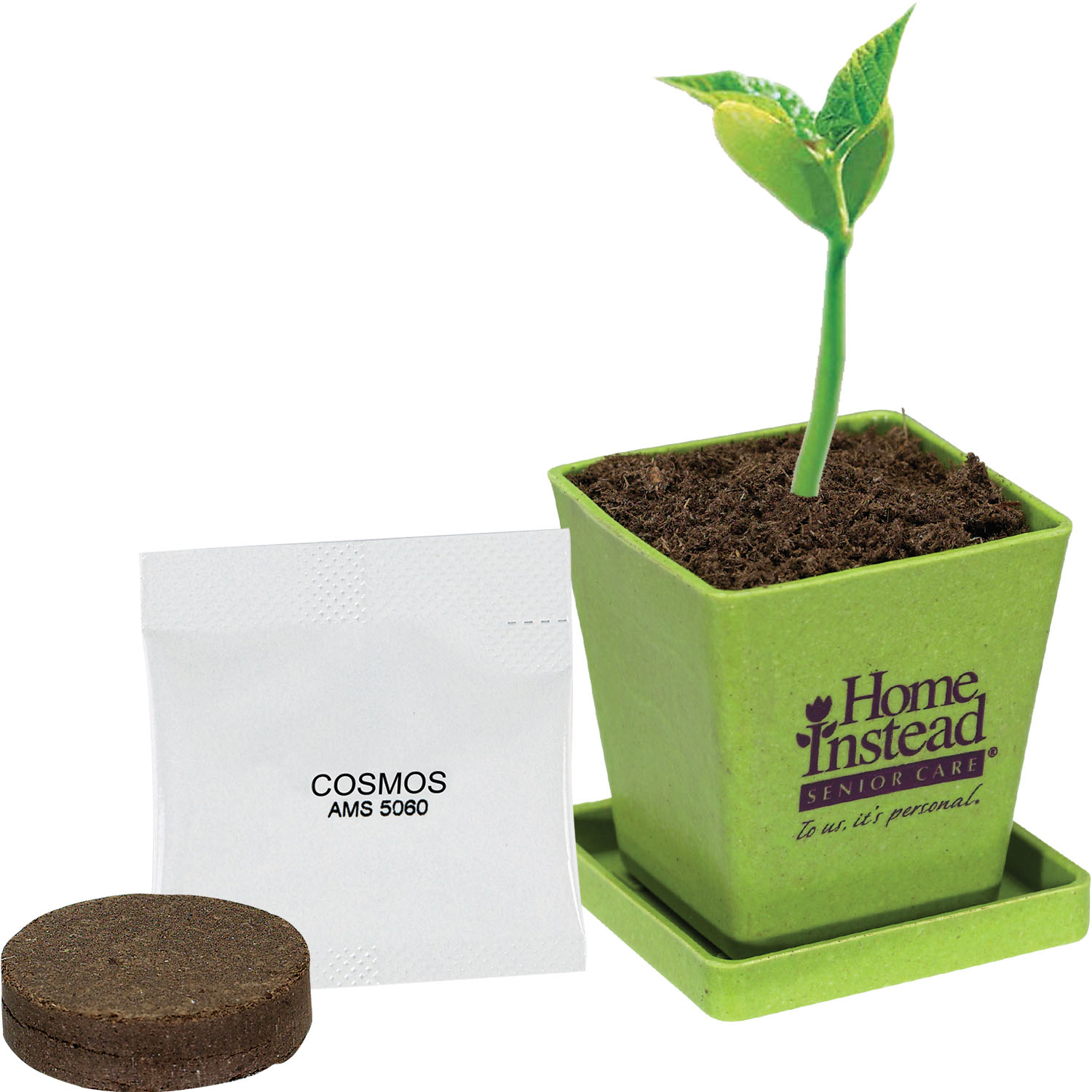Mini Bamboo Planter 5
