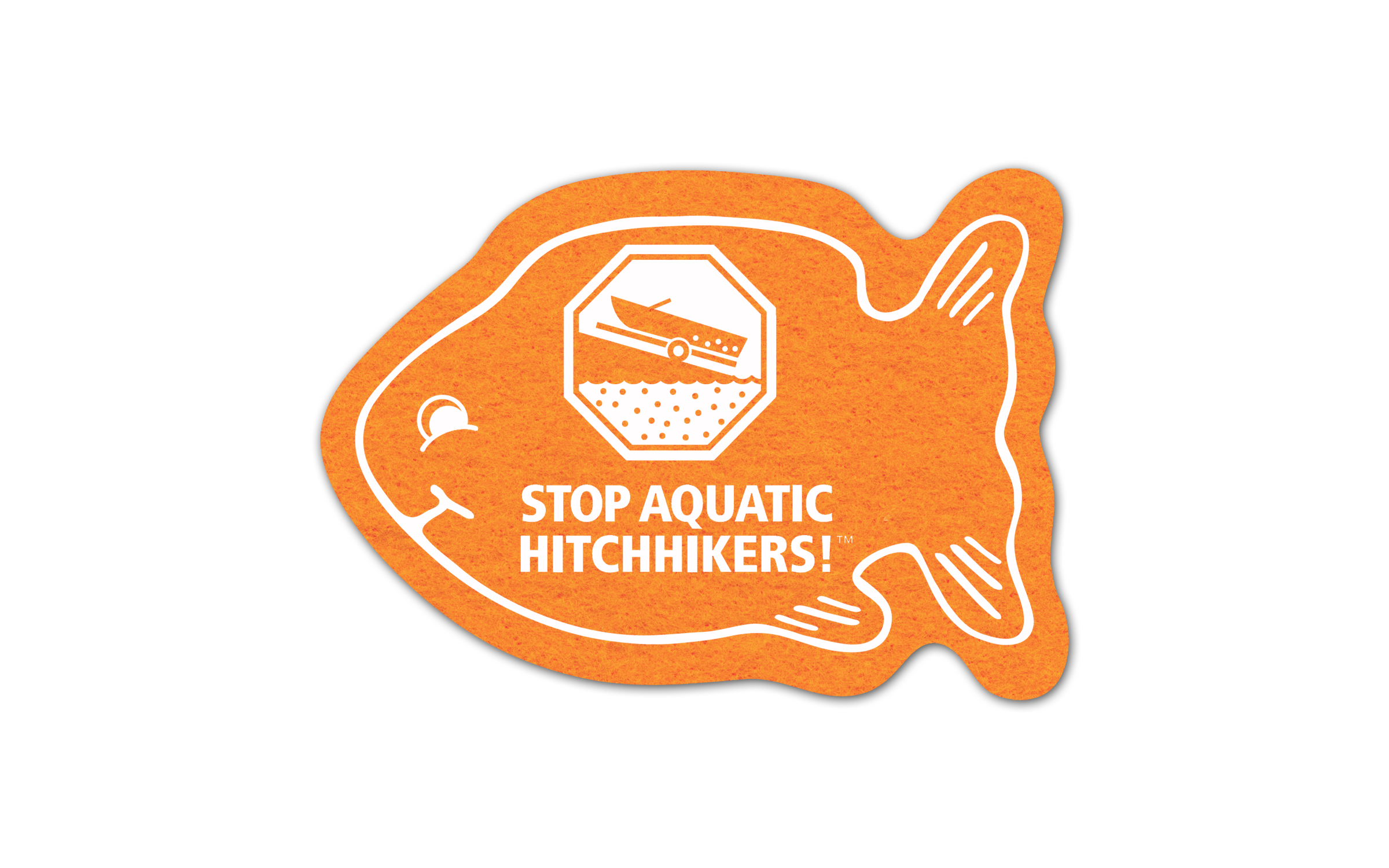 Fish Shammy Coaster 4