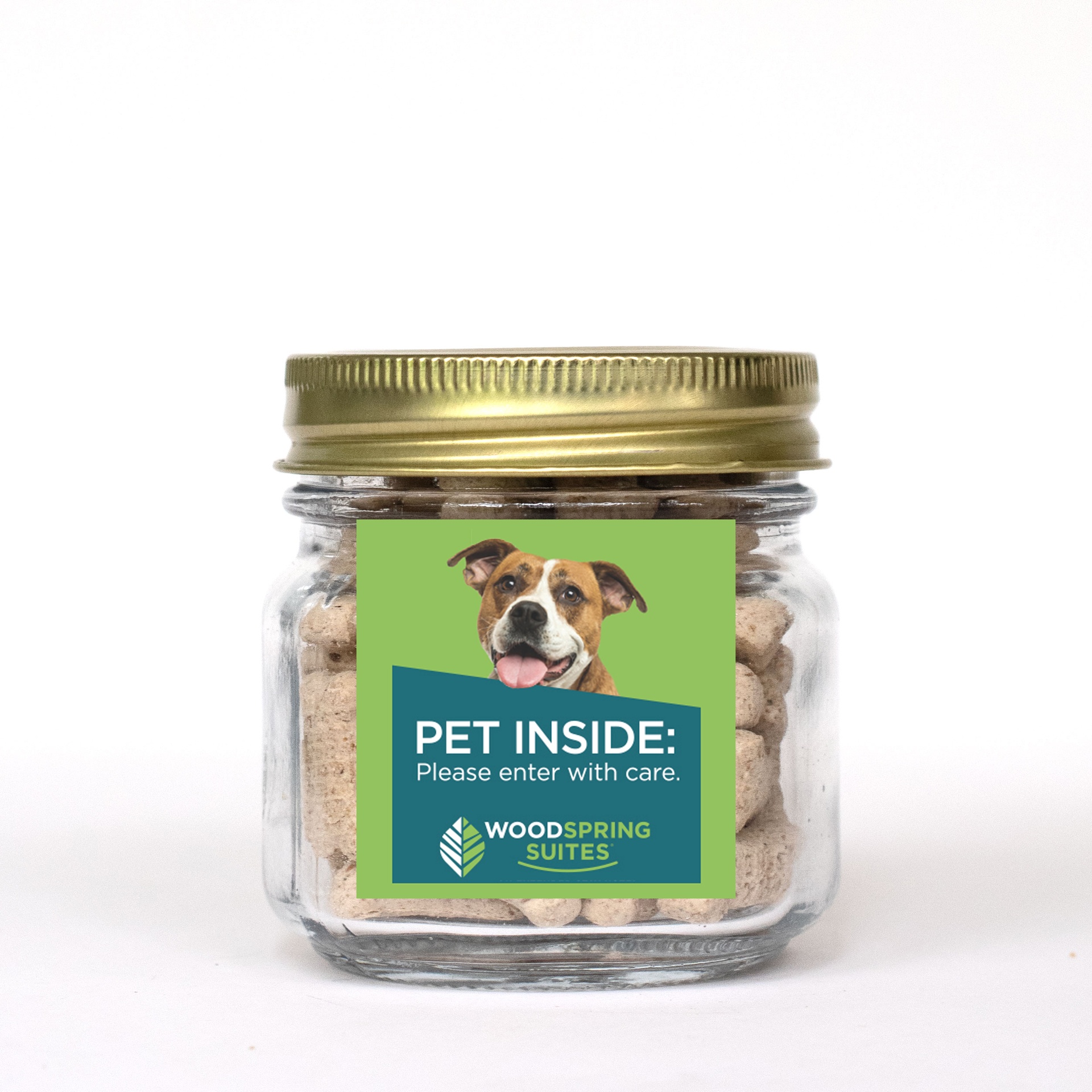 Pint Jar w/ Square Magnet Pet Fill 2