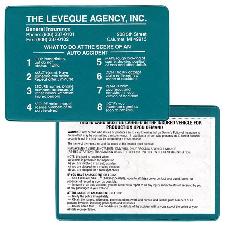 Insurance Card Holder 12