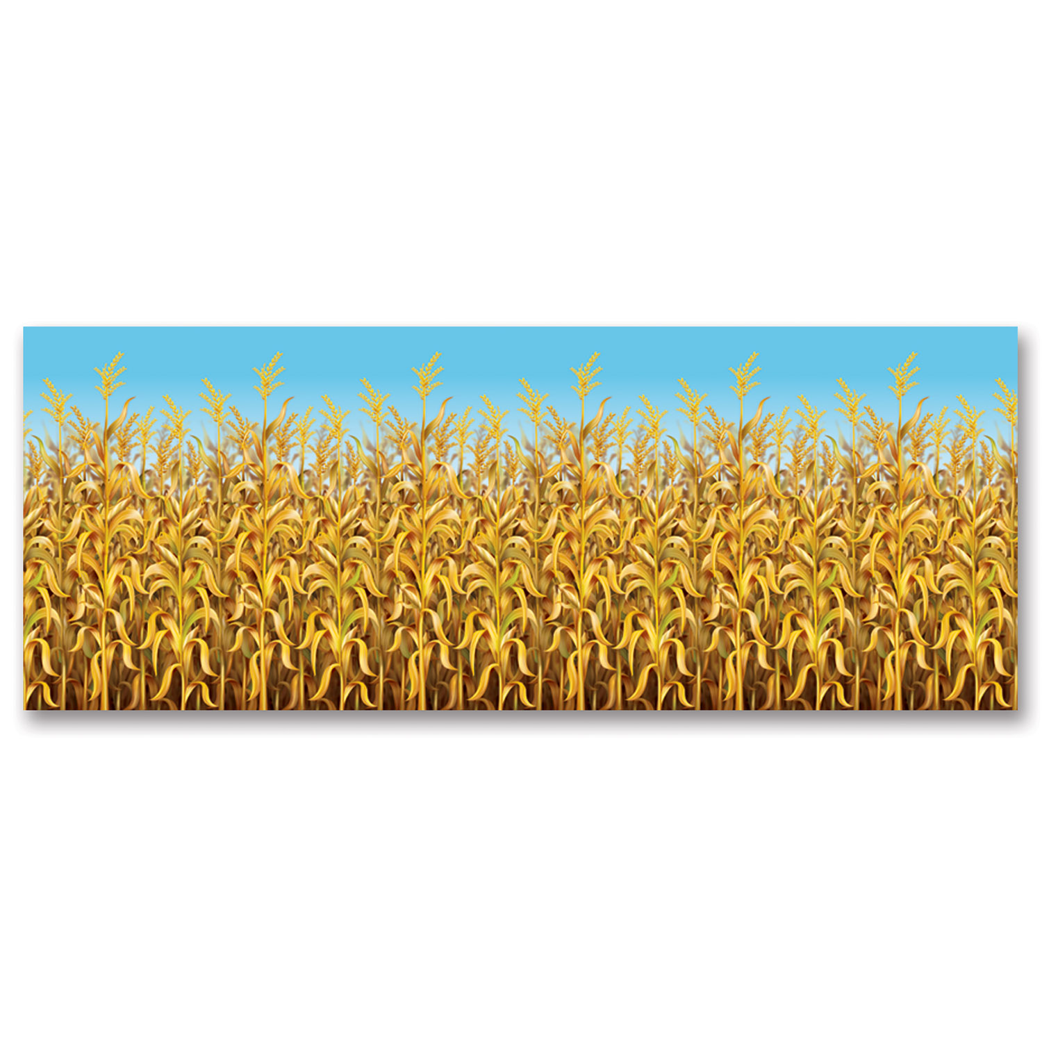 Cornstalks Backdrop