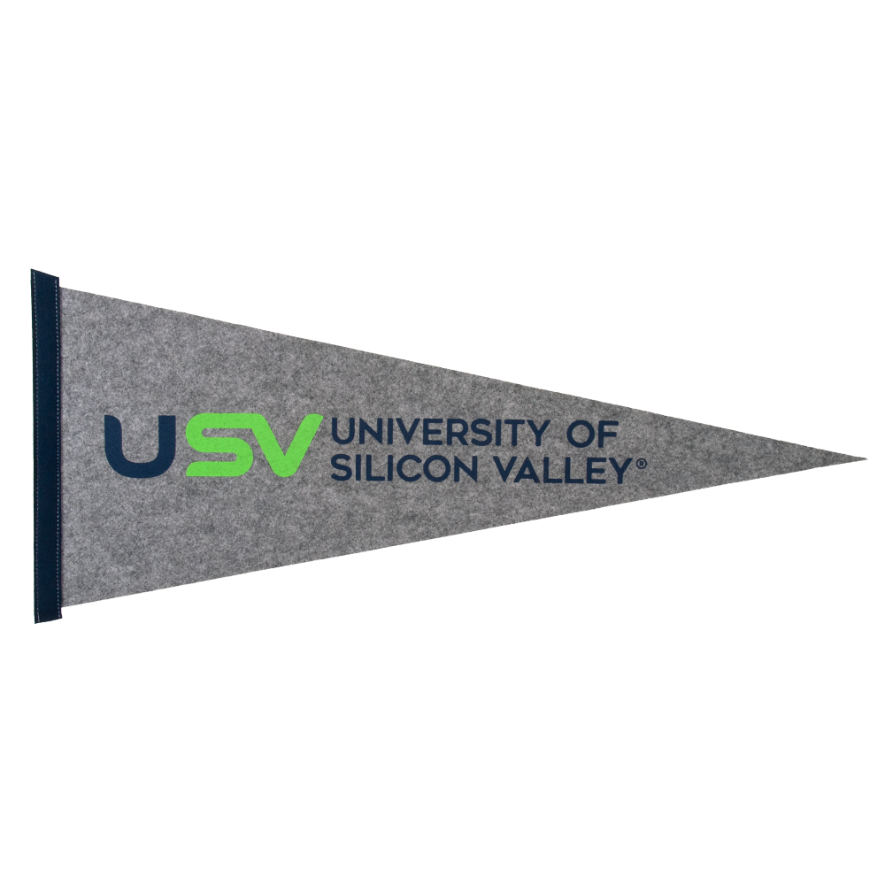 12" x 30" Colored Felt Pennant 7