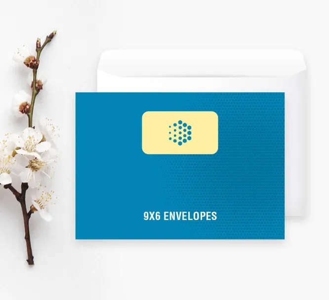 9'' x 6'' Envelopes 1