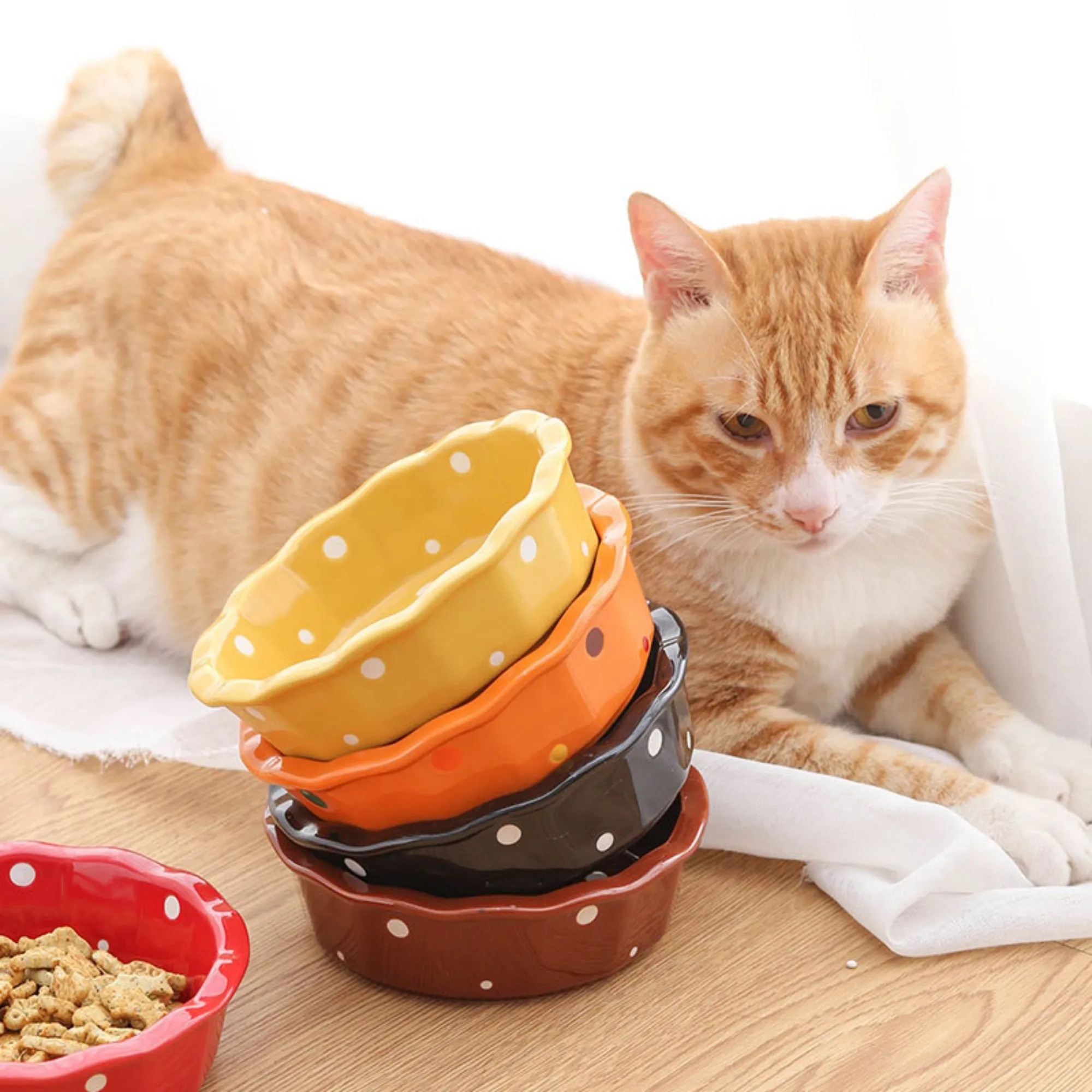 Ceramic Cat Food Dish Bowl Rack And Cat-Bowl 2