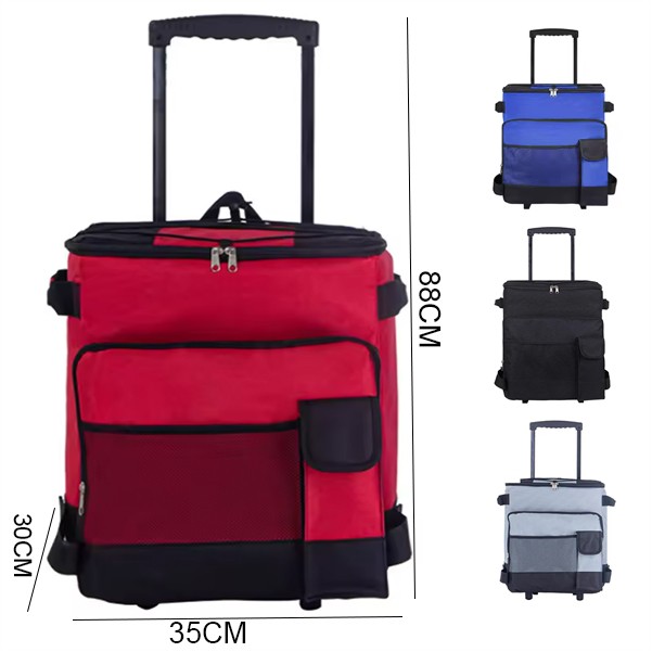 Insulated Carrier Cooling Bag Picnic Rolling Cooler 2