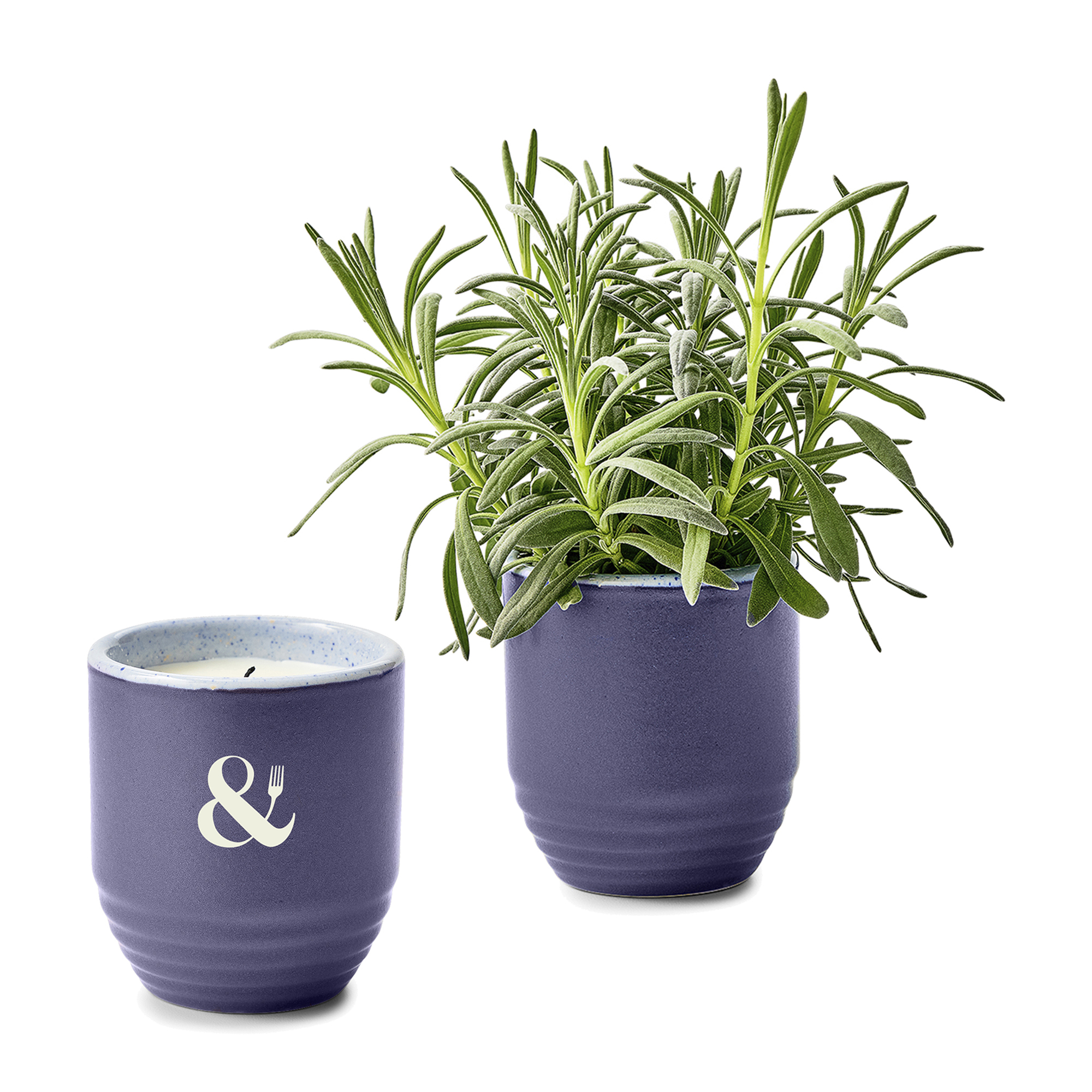 Modern Sprout® Garden Vibes Candle/Planter 76