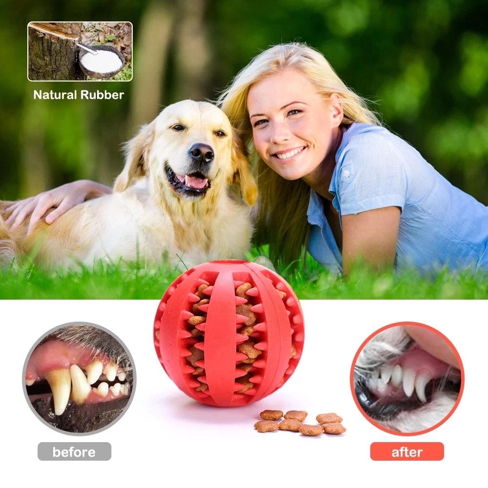 Interactive Rubber Balls For Dogs Puppy Cat Chewing Toys 7