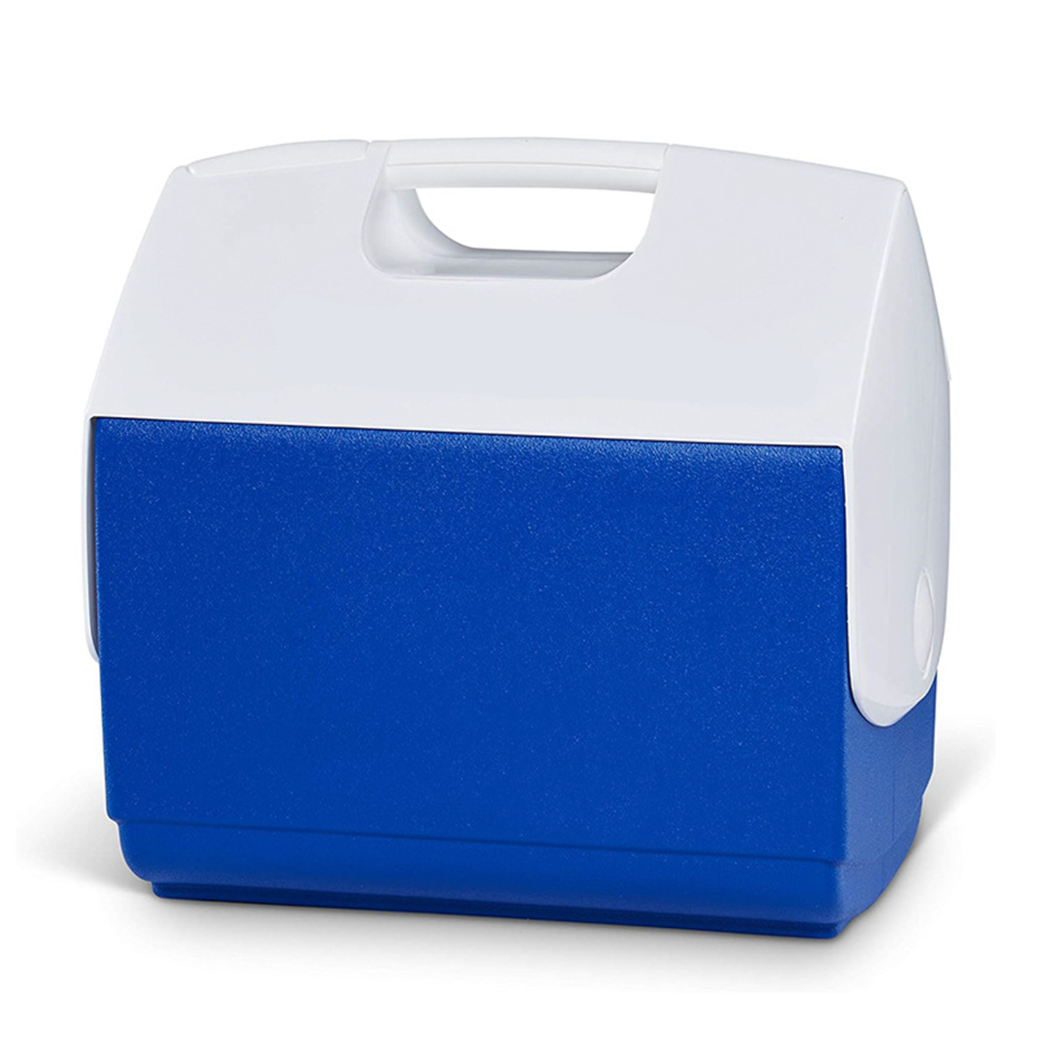Custom Insulated Portable Cooler 6