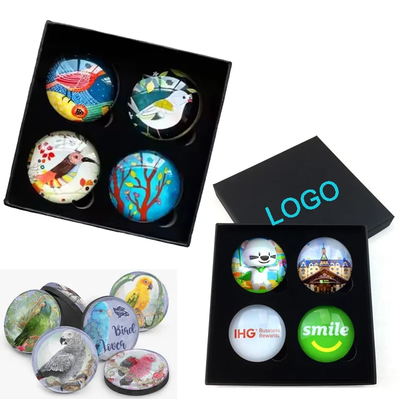 Glass Fridge Magnet Set (Set of 4) 2