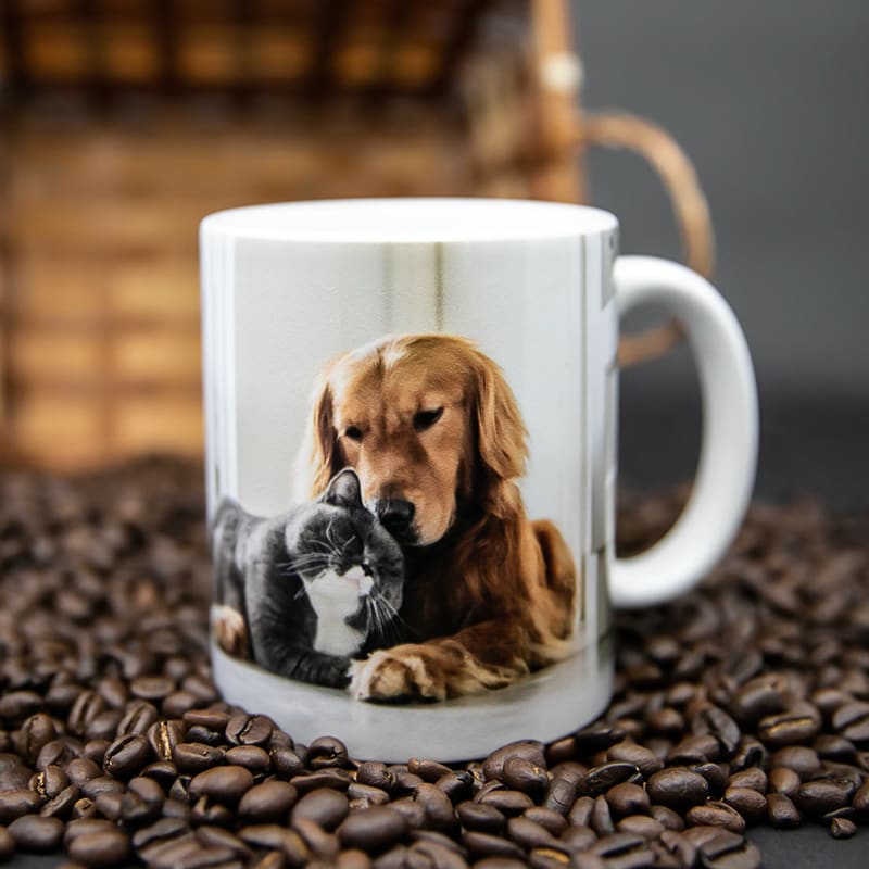 Full Color Photo Mugs 11oz 24