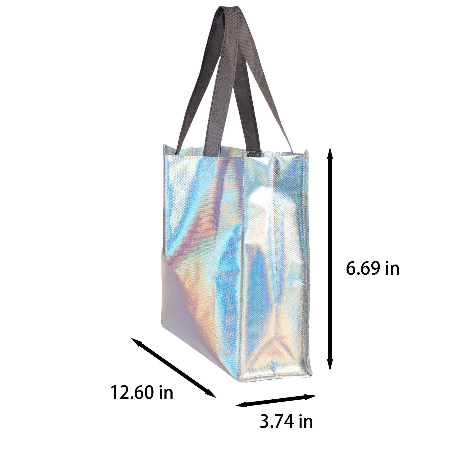 Shimmer Carry Bag 5