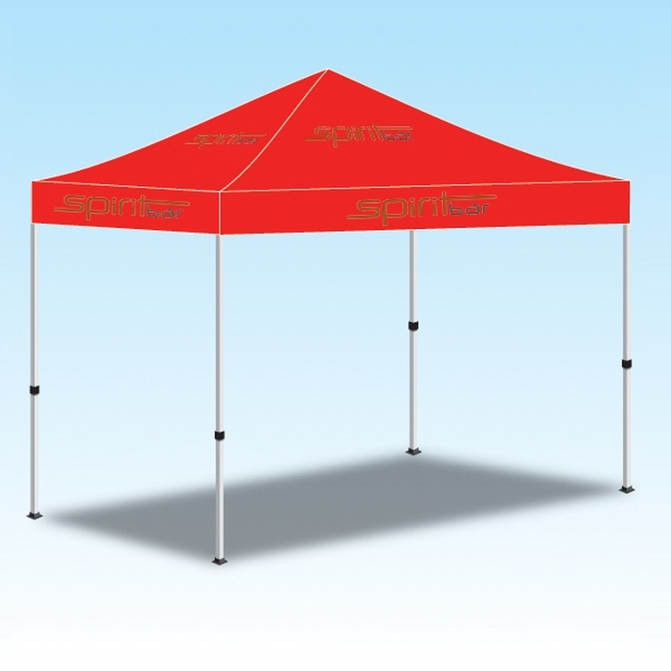 10' x10' Custom Made Printed Canopy Tent-2 Color 3